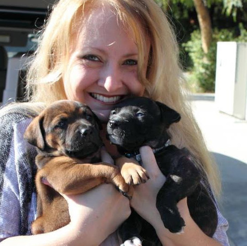 JJWoofinPaws's profile picture. C.E.O & Founder - J.J. Woofin' Paws Rescue Agency 501(c)(3) #nonprofit  #dogrescuer in Los Angeles, Film and TV #Editor #photographer http://t.co/BuBfeJs6YA