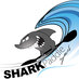 SHARK PADDLE SURF (@sharkpaddlesurf) Twitter profile photo