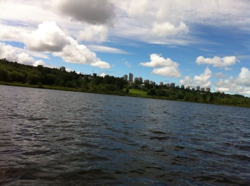 bolecourt's profile picture. 