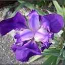 Pete Goodman - @PeteGoodman1 - Twitter