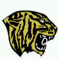 FridleyFB's profile picture. The fierce Tigers of Fridley High School, MN are a tenacious, young group of athletes who are ready for 2014. #Tigers