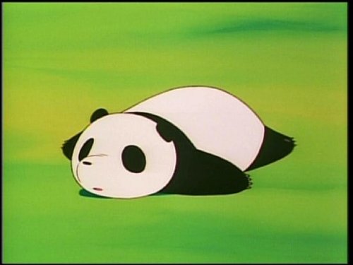 I am fluffy, warm, and black and white, My name is Shanghai and I am China's Panda bear!!!!