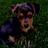 Sis8282's profile image