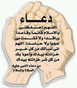 LOONAMH's profile picture. ياحي ياقيوم برحمتك استغيث اصلح لي شأني كله ولاتكلني الى نفسي طرفة عين