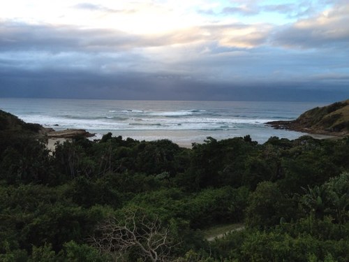 stoottoot's profile picture. 