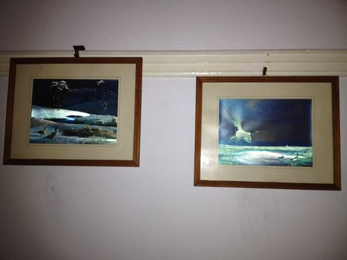 heylookylooky's profile picture. 