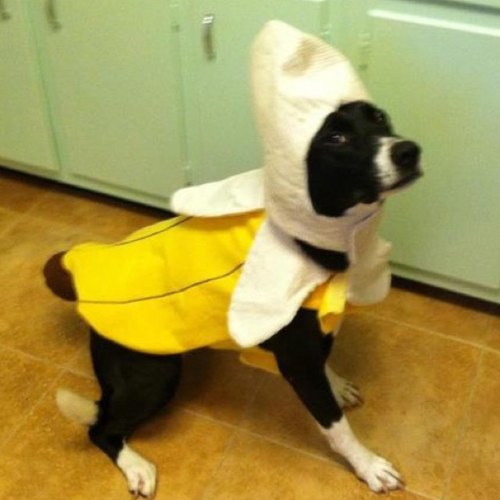 dt97201's profile picture. 