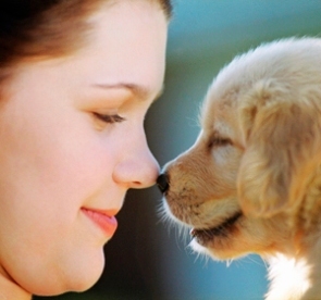Professional blogger and pet lover blogging and tweeting on pet care and pet training and health issues.