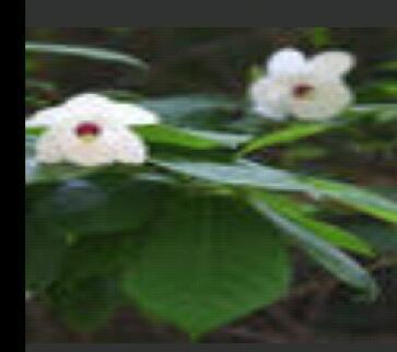 hyang8919's profile picture. 