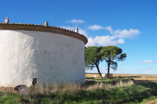 AradueyCampos's profile picture. Grupo Leader en desarrollo rural.