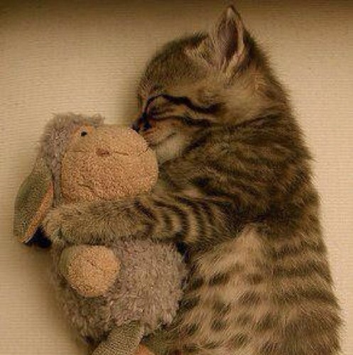 julung's profile picture. 