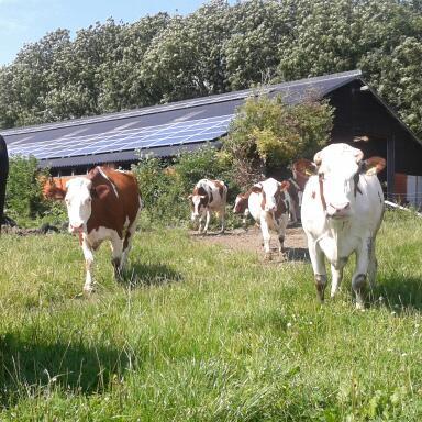 Een opgeruimd huis is een teken van een verspild leven. zonne panelen maar ook blij met kernenergie.Geen sociaal leven.