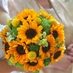 Ginger Lily Florist (@brightonflorist) Twitter profile photo