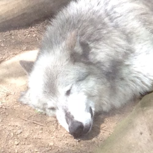 ClemQuest's profile picture. 