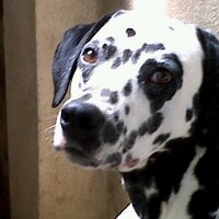 INLOMEDA™ (@inlomeda) 's Twitter Profile