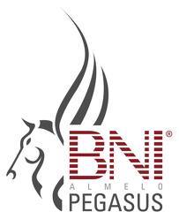 BNI Pegasus Almelo