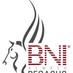 BNI Pegasus Almelo (@bnipegasus_a) Twitter profile photo