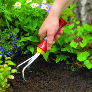 Inspiratiebron voor de echte tuinliefhebber. Met tips, actualiteiten, aanbiedingen en maandelijks prijsvragen!  Heb je tuintips, stuur ze in!