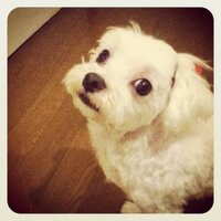MᎯᎦᎯᎦhi XimᎾtᎾ (@ximotomss) Twitter profile photo