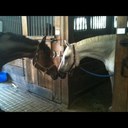 anne byers - @annebyers - Twitter