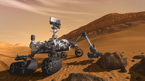 Just a regular rover searching for a home
