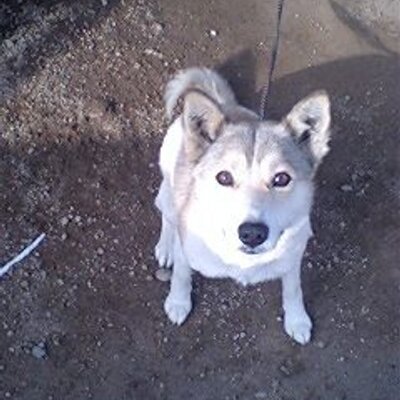 めら 輪廻転生をリインカネーションと読みつつ漢字としての読み方とも韻を踏んでるんだな 空却すごい ヒプマイ めら 輪廻転生をリインカネーションと読みつつ漢字としての読み方とも韻を踏んでるんだな 空却すごい ヒプマイ