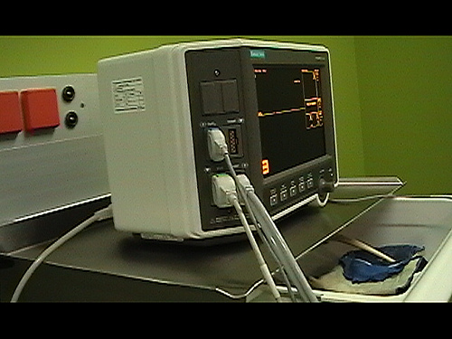 electrocore_'s profile picture. research,DIY movement,interdisciplinary,electromagnetic spectrum,sound project,workshops,EFP,interactive,performances,breakcore,noise,frequency n fun machine