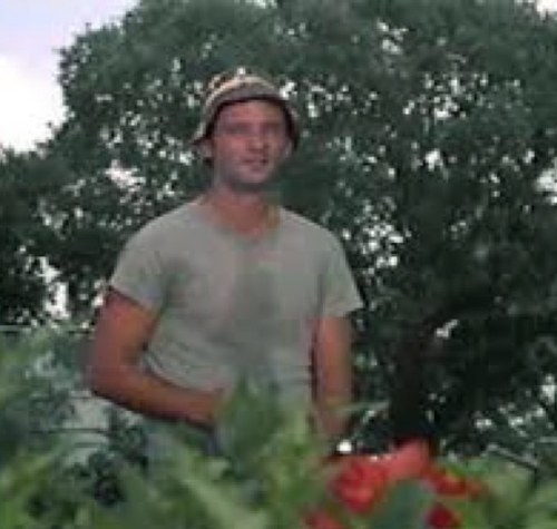 tincupgolf's profile picture. 