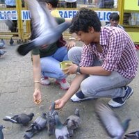 Abhishumat Thakur (@abhishumatt) Twitter profile photo