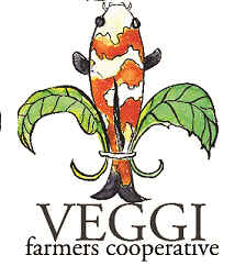 VEGGI is a community farmer's cooperative that aims to create sustainable jobs to increase local food access & promote sustainable agriculture.