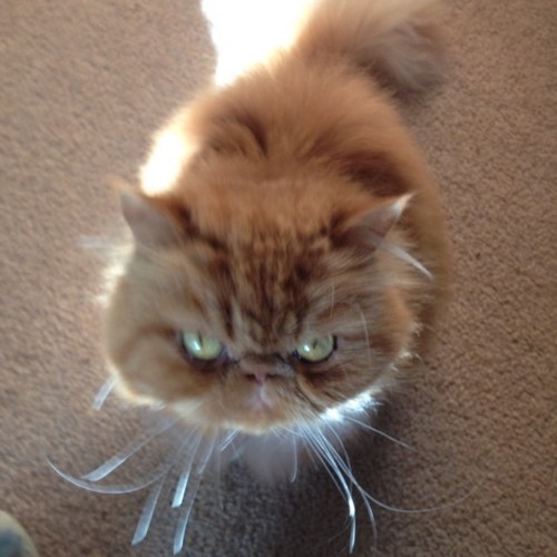 sdrost1028's profile picture. 