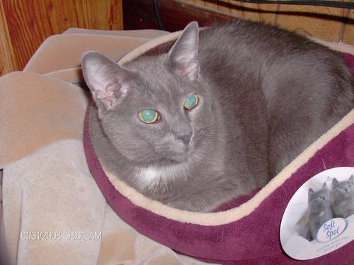 midgets6's profile picture. 