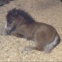 Kathy Thatcher - @365kt - Twitter