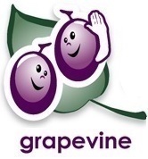 GrapevineSurvey's profile picture. Need Feedback? Hear it through the Grapevine! The  web-based solutions tool for all surveys & employee 360 evaluations. Create - Design - Launch your surveys!