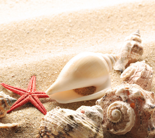 karlynn828's profile picture. 