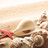 karlynn828's profile image