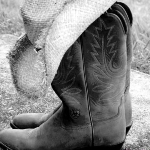 2kybitches's profile picture. two girls from kentucky that just like to bitch.