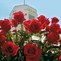 Run4Roses (@run4roses132) Twitter profile photo