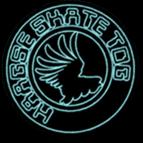 skatetog's profile picture. 