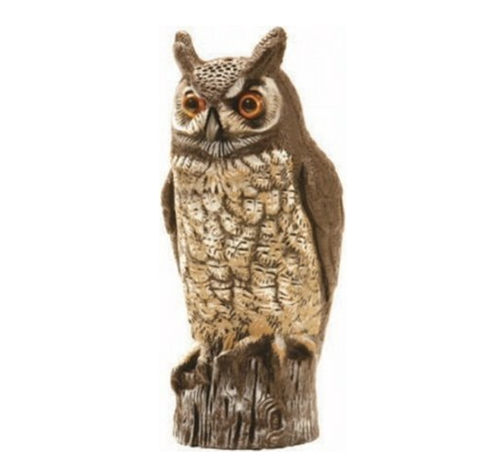 IBoughtAFakeOwl's profile picture. Amazon reviewers feel strongly about fake owls and the birds they are supposed to scare away. These are their (actual) stories.