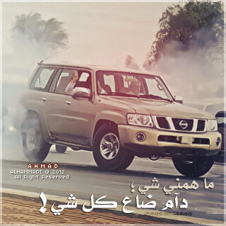 M3zmBelra7eel's profile picture. 261F1A03