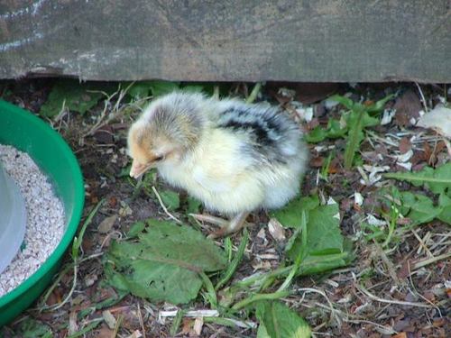 DavidLowe62's profile picture. 