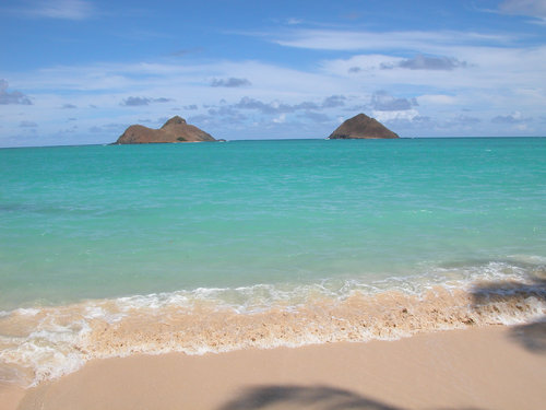 Bobbi_Wollerman's profile picture. 