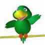 We are a family owned business started because of our love of parrots.
We sell bird cages, bird cage covers, and parrot toys.