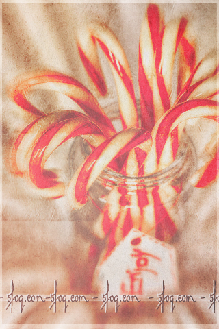 ameey99's profile picture. 