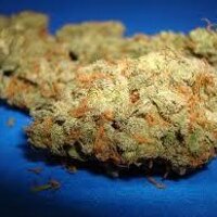 Budsbomb Beatsbreak (@incindigenous) 's Twitter Profile