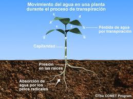 Concejos útiles sobre el mundo agropecuario