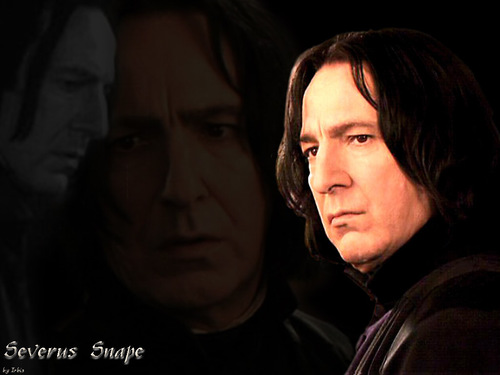 Ex-Potions Master, Ex-Death Eater, Ex-Order of the Phoenix, Ex Defense Against the Dark Arts teacher.