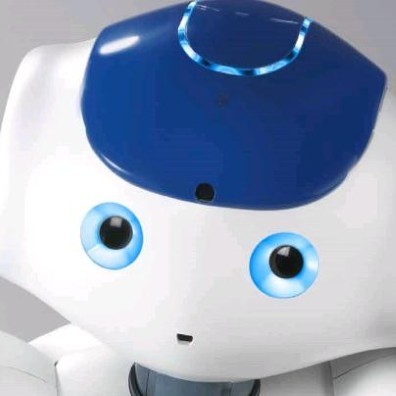 iRobotWorld's profile picture. 