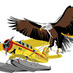 TheNorthernSunNews (@northernsunnews) Twitter profile photo